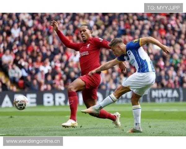 国家队关键战：努涅斯在南美赛场的表现评估