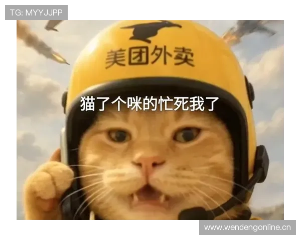 听说唐佳豪一天三顿外卖，连猫都看不上这生活节奏？